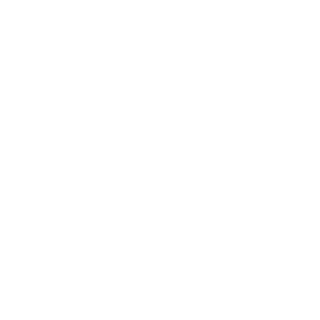 大会スケジュール